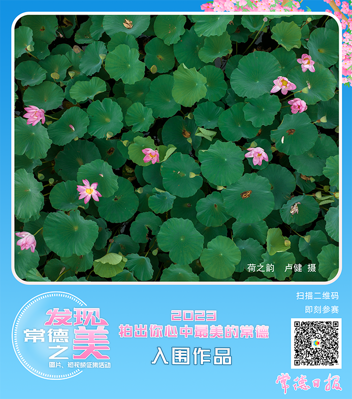 0bc7b30638134501b6bb3d007feba7c4.png