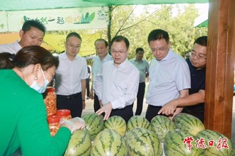 周振宇调研县域经济发展：突出重点 强化统筹 推动县域经济高质量发展