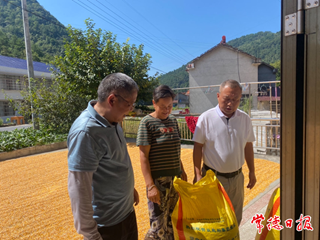 【经济】丰收了！石门玉米高产示范点平均单产超550公斤