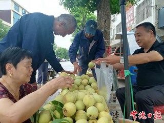 【经济】临澧脆蜜桃香飘省内外
