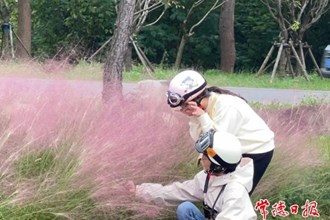 【社会】快来柳叶湖，邂逅秋日的粉色浪漫