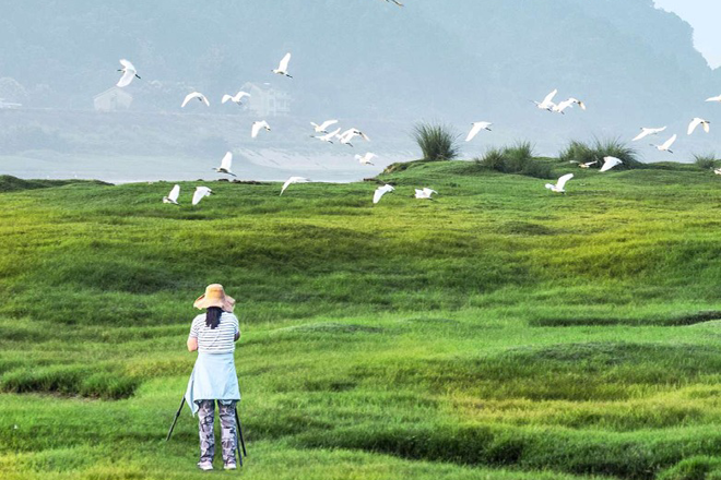 2023年度“发现常德之美”影像征集大赛第14期作品选登