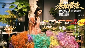 巷见常德之穿紫河畔大小河街 爱情岛篇
