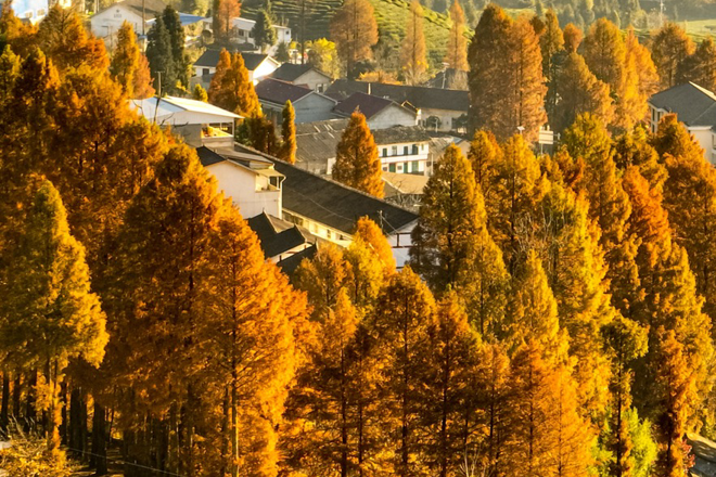 2023年度“发现常德之美”影像征集大赛第19期作品选登