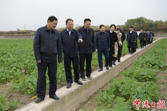 周振宇在市农科院调研时强调：为常德加快从农业大市 迈向农业强市作出更大贡献
