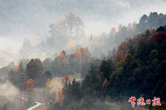 【发现常德之美专版】初冬暖阳