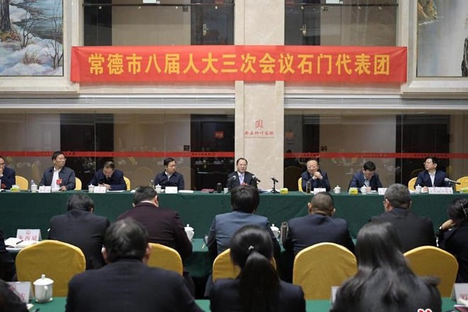 周振宇参加石门、汉寿代表团分组审议