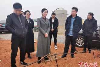 市领导调研督导生态环境保护和林长制工作