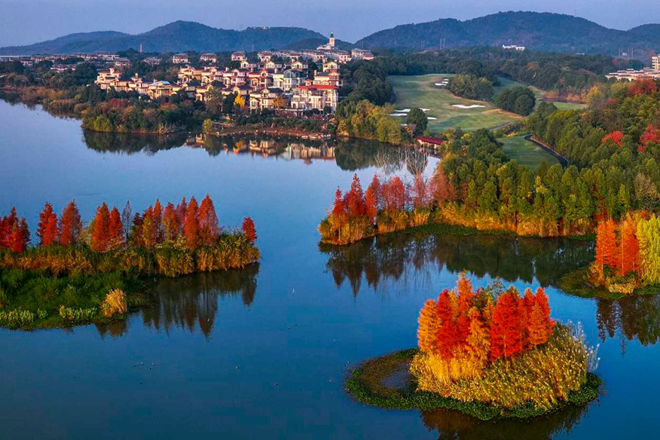 【发现常德之美】第24期