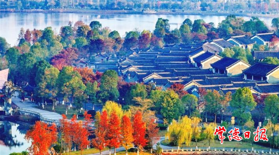 【发现常德之美专版】遇见色彩斑斓的常德