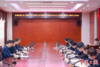 曹志强参加指导常德高新区党工委班子主题教育专题民主生活会