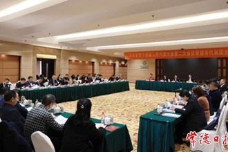 省十四届人大二次会议常德代表团召开第五次全体会议