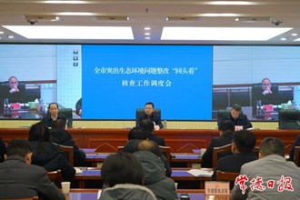 全市突出生态环境问题整改“回头看”核查工作调度会召开