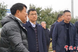 市领导调研灾后农业生产恢复工作