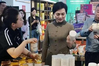 市领导调研粮食生产、乡村振兴及农旅融合工作