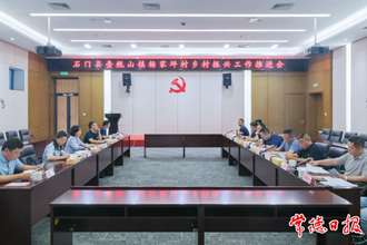 市领导调度石门县杨家坪村乡村振兴工作