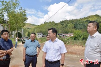 市领导赴桃源县检查指导灾后重建工作
