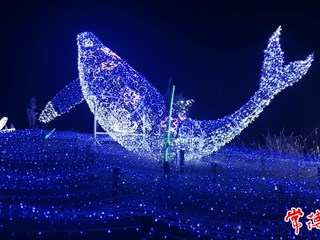 【文旅】柳叶湖渔歌艺术营地“双节”特别节目火热开演