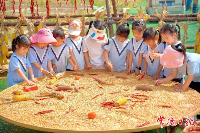 【武陵区】丹洲乡丹野花田农场：秋收运动会 萌娃嗨不停