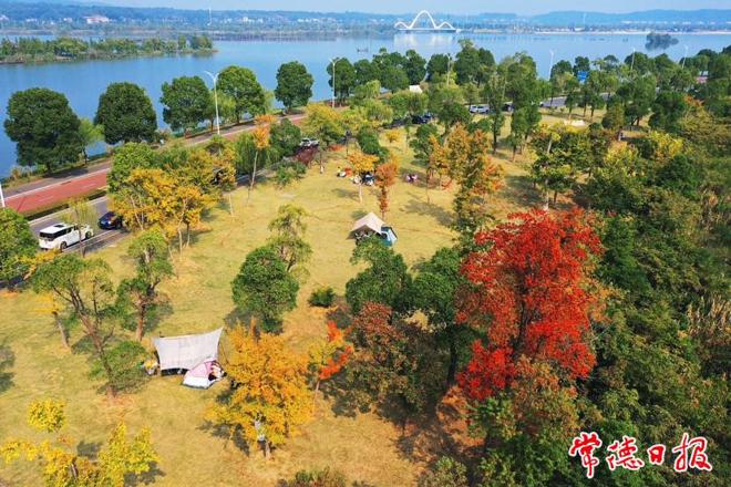 【组图】露营赏秋好惬意