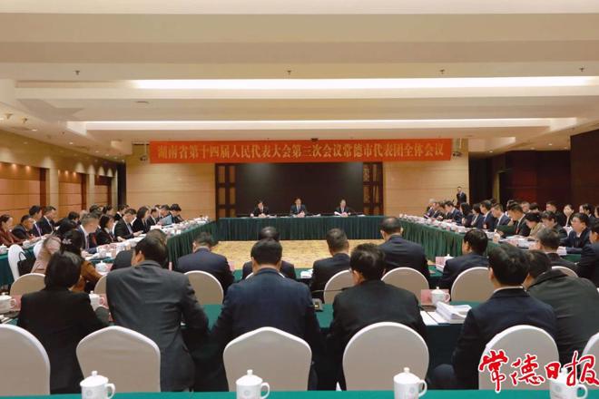 常德代表团集中审议省人大常委会工作报告