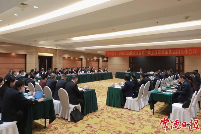 常德代表团集中审议省高级人民法院、省人民检察院工作报告