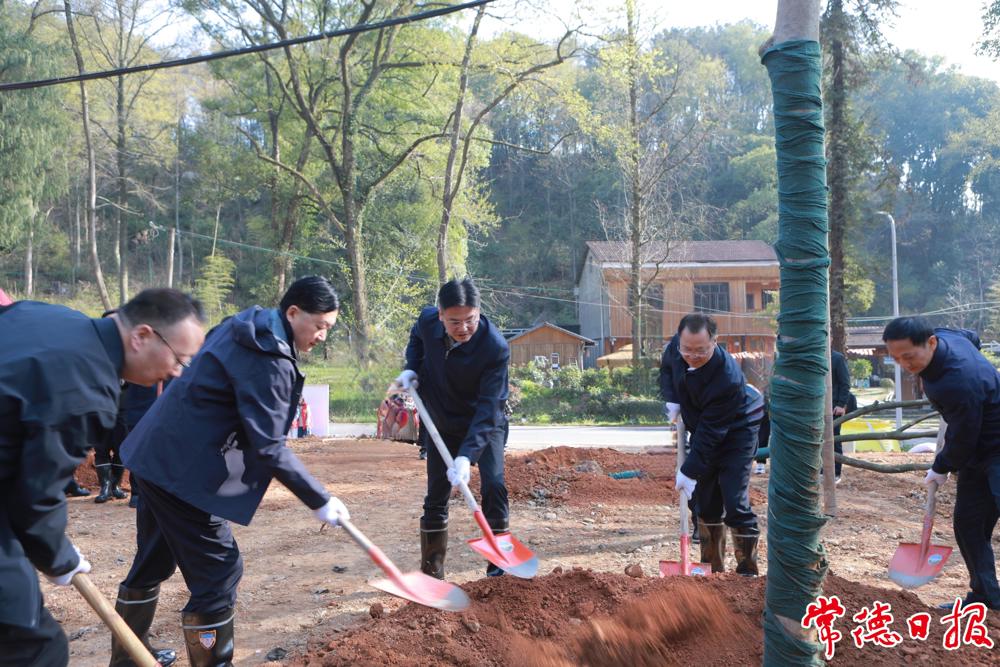 2025年全市集中义务植树活动举行 罗毅君周振宇参加_领导活动_市政府_常德市人民政府门户网站