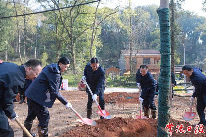 2025年全市集中义务植树活动举行 罗毅君周振宇参加