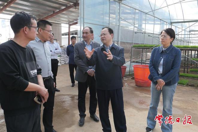 周振宇在武陵区、桃源县开展调研督导时强调：抓细抓实农业生产关键环节 织密筑牢自然灾害防御网络