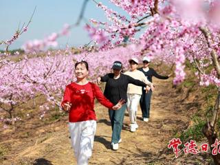 【组图】鼎城500亩黄桃花开引游人