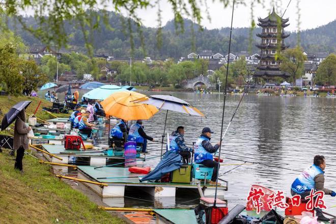 【组图】2025年桃花源钓鱼邀请赛圆满落幕