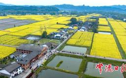 【组图】桃花源白麟洲里的春日慢生活