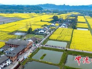 【组图】桃花源白麟洲里的春日慢生活