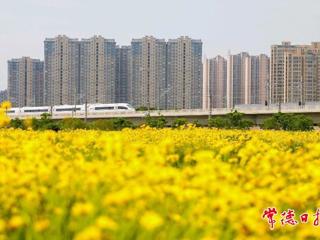 【组图】与高铁同框