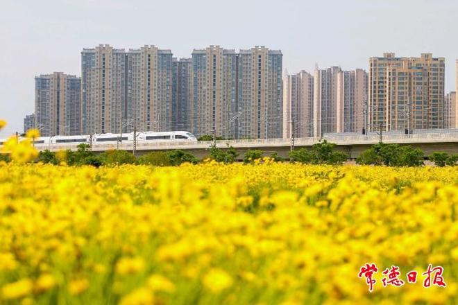 【组图】与高铁同框