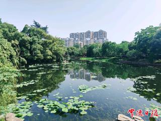 【组图】“绿宝石”滨湖公园