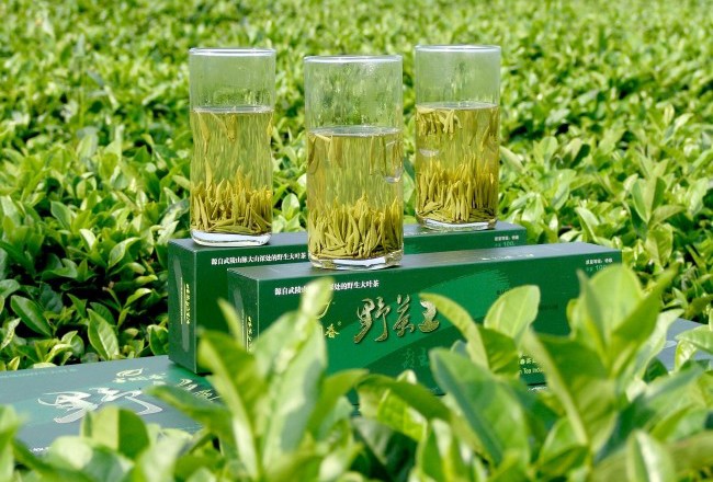 市级：桃源野茶王