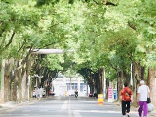 【组图】去老街巷，拍旧时光