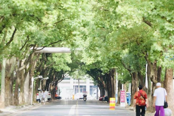 【组图】去老街巷，拍旧时光