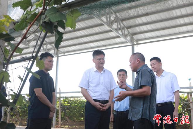 罗毅君在安乡县、汉寿县调研