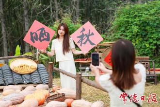 【组图】晒秋