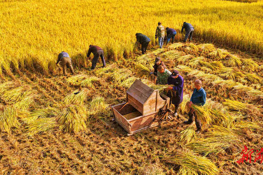 【组图】沧桑未改农耕脉——澧县城头山采风掠影（节选）