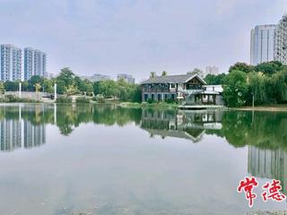 【组图】秋日的丁玲公园