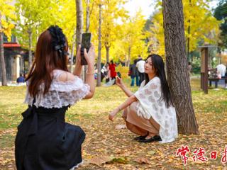 【组图】冬日来“杏” 穿紫河畔冬景如画