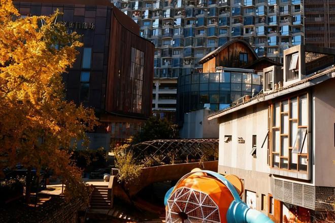 【社会】老西门，冬阳如画