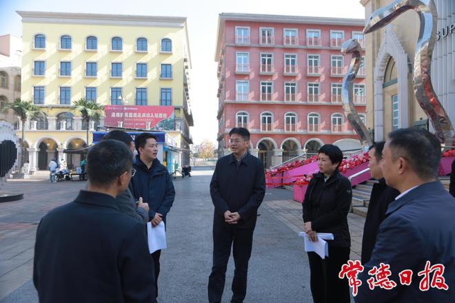 罗毅君带队调研常德河街西街国有资产盘活相关工作