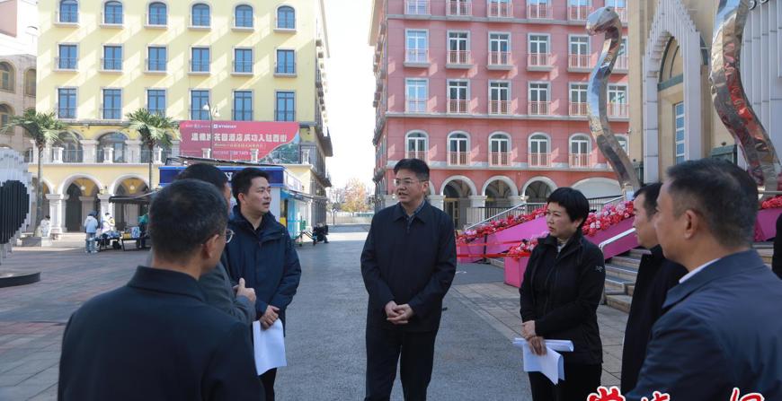 罗毅君带队调研常德河街西街国有资产盘活相关工作