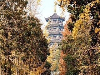 【组图】冬日晴好 常德孤峰公园山水间游人如织
