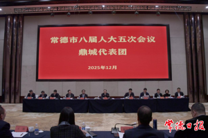 周振宇参加常德市八届人大五次会议鼎城代表团审议