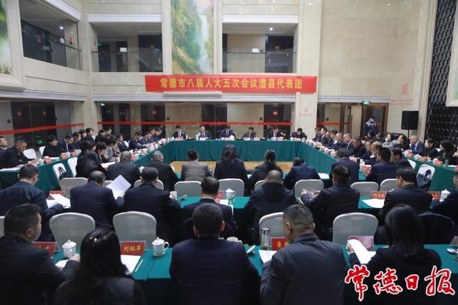 罗毅君参加常德市八届人大五次会议澧县代表团、临澧代表团审议